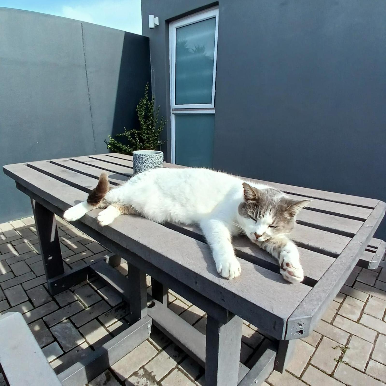 Wanderlust Private Studio Apartment Langebaan Εξωτερικό φωτογραφία